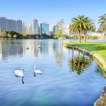 Orlando