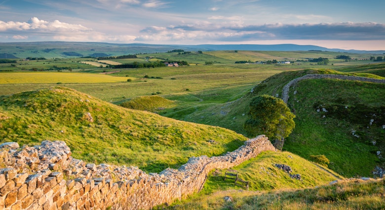 Hadrian's Wall above Steel Rigg / Hadrian's Wall is a World Heritage Site in the beautiful Northumberland National Park. Popular with walkers along the Hadrian's Wall Path and Pennine Way, License Type: media, Download Time: 2025-01-13T08:39:44.000Z, User: claramonitto, Editorial: false, purchase_order: 56530 - Guidebooks, job: Global Publishing-WIP, client: Great Britain 16 - Back cover image, other: Clara Monitto